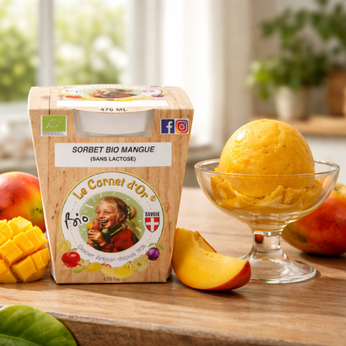 Sorbet bio mangue