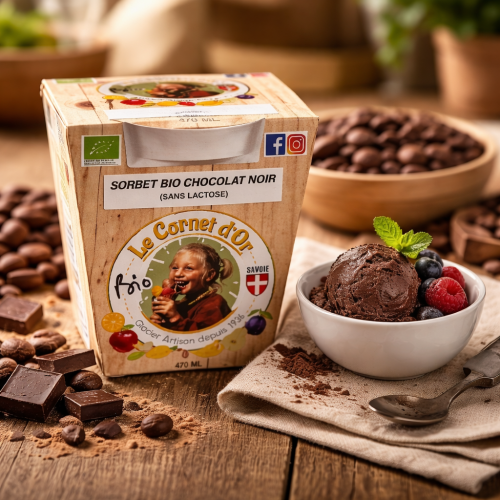 Sorbet bio chocolat noir