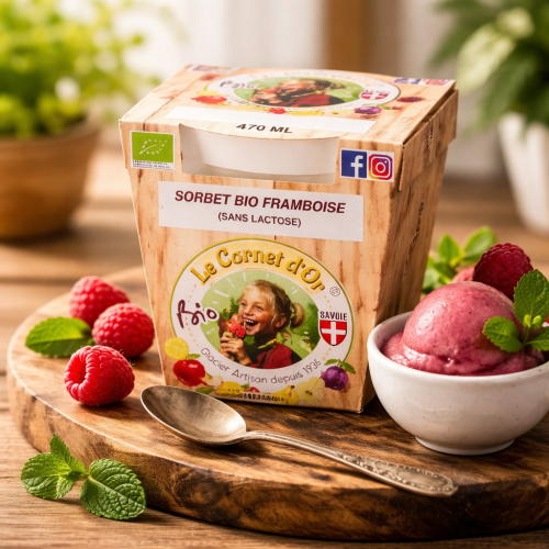 Sorbet bio framboise