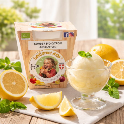 Sorbet bio citron